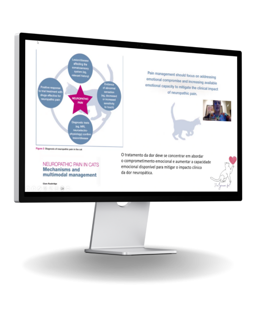 Cópia de KIT MOCKUPS - SEM FUNDO (23)