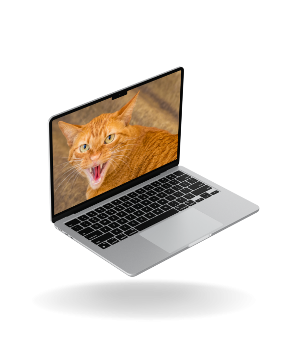 Cópia de KIT MOCKUPS - SEM FUNDO (27)